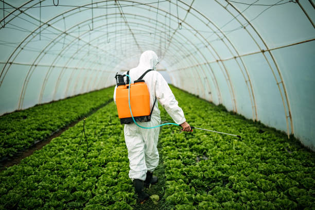 Pest Prevention Services in Amsterdam, NY