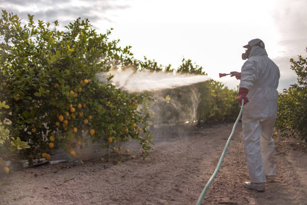 Best Emergency Pest Control  in Amsterdam, NY