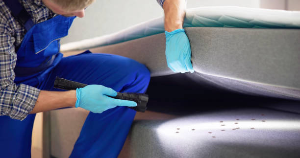 Best Pest Inspection Near Me  in Amsterdam, NY